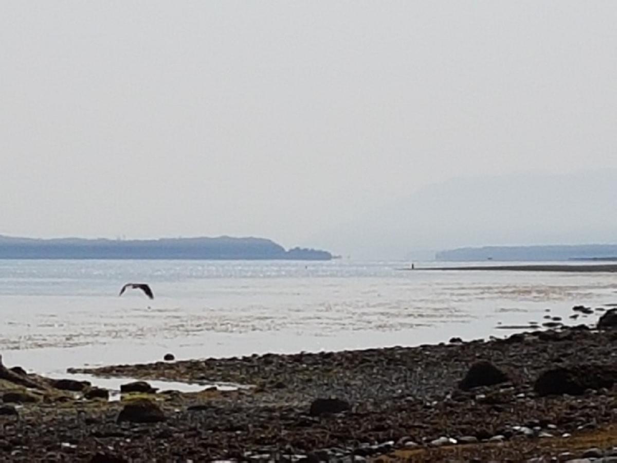 Airport Inn Port Hardy Zewnętrze zdjęcie